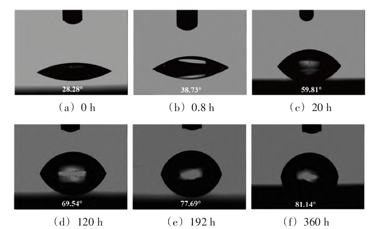 9I在线看片成人免费清洗後效果保持時間的變化