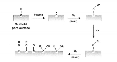 氧9I在线看片成人免费體在與材料表麵接觸時羥基化、羧基化的示意圖