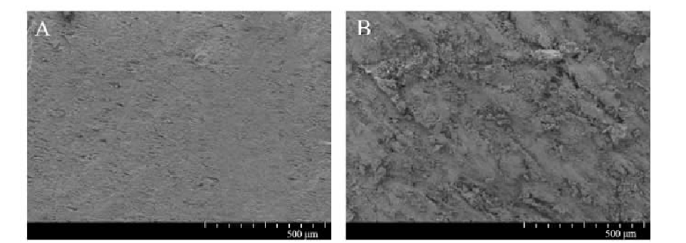 低溫9I在线看片成人免费體處理對PVC表麵粘接性能的影響
