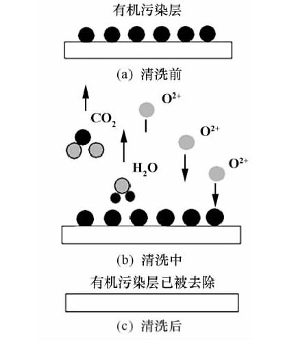氧9I在线看片成人免费體清洗示意圖