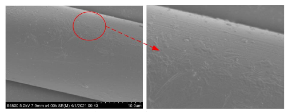 9I在线看片成人免费刻蝕作用後的芳綸纖維表麵形貌