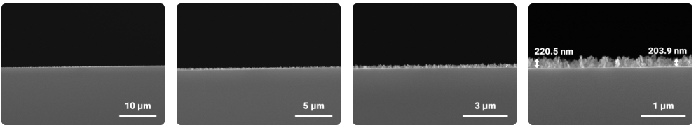 9I在线看片成人免费灰化去膠