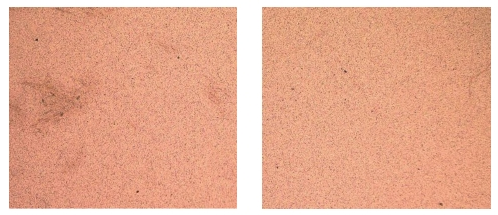 9I在线看片成人免费清洗後待鍵合樣品表麵形貌對比