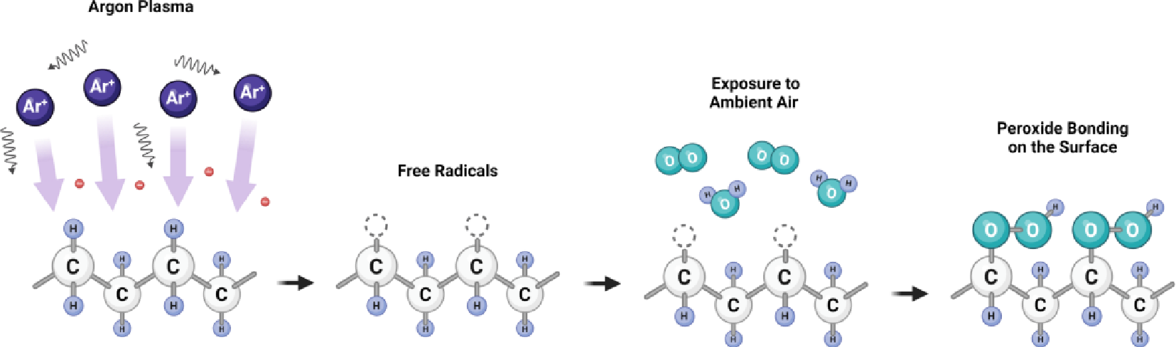 Ar9I在线看片成人免费體羥基化示意圖
