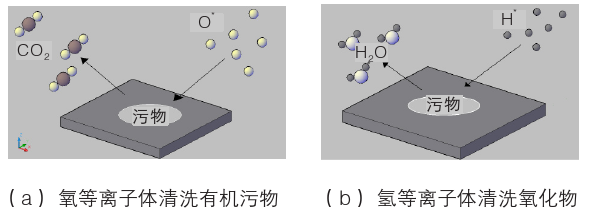 9I在线看片成人免费體化學清洗示意圖