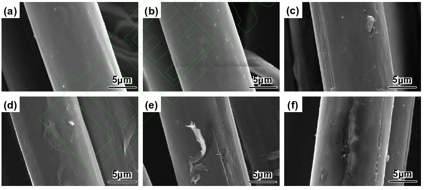 PI纖維9I在线看片成人免费體表麵處理前後的SEM照片