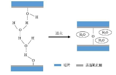 矽基晶圓親水性表麵活化鍵合機理