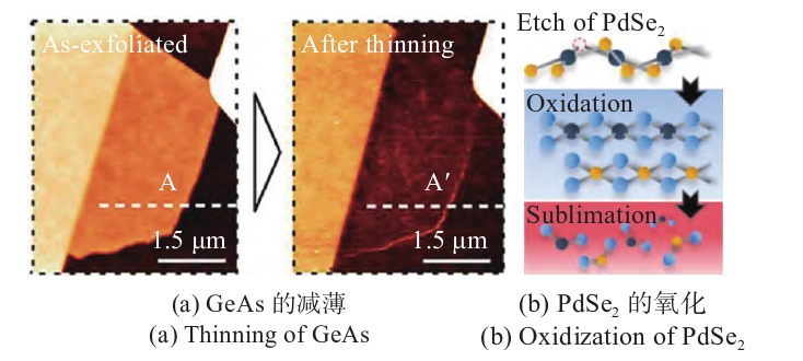二維材料的9I在线看片成人免费刻蝕與改性