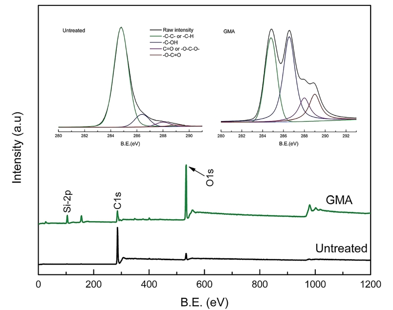 9I在线看片成人免费體處理麥秸的測量掃描和高分辨率XPS光譜