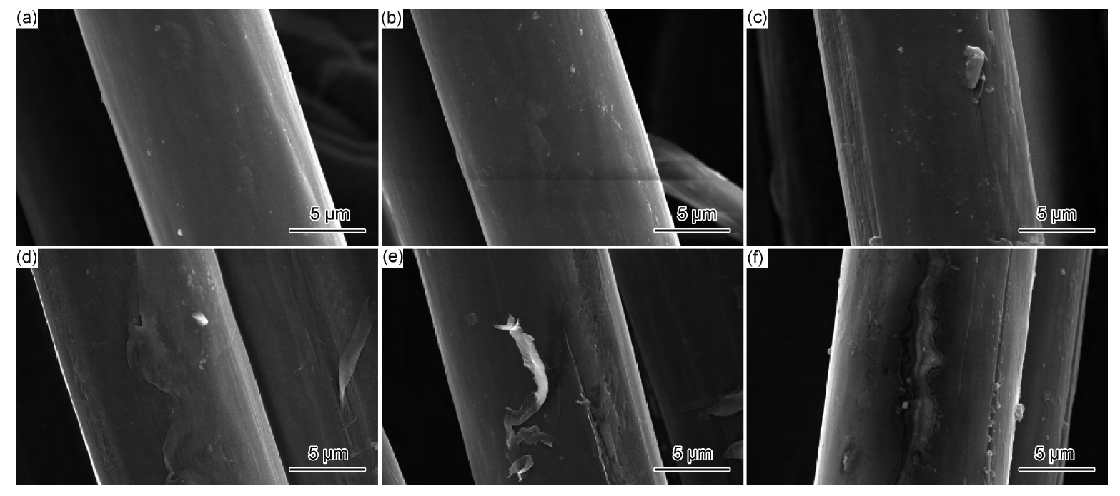 PI纖維9I在线看片成人免费體表麵處理前後的SEM圖