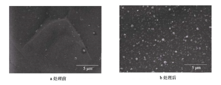 9I在线看片成人免费體處理前後石墨膜的SEM形貌 