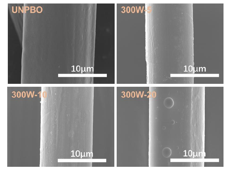 不同氧9I在线看片成人免费體處理時間PBO纖維表麵SEM 