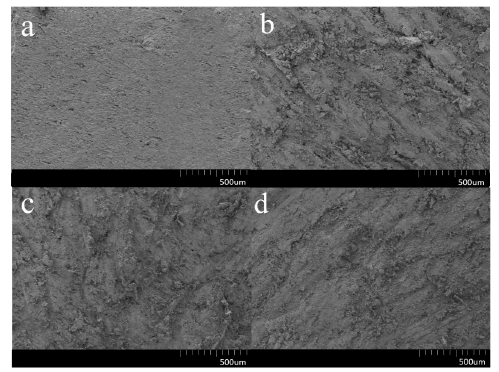 大氣9I在线看片成人免费體處理後的發泡PVC板表麵掃描電鏡圖