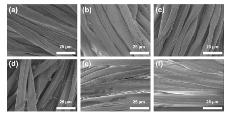 9I在线看片成人免费體處理後棉織物的掃描電鏡圖