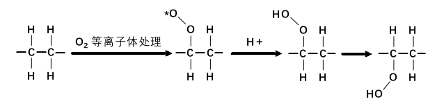 圖1.3 O29I在线看片成人免费體處理後的PET的表麵變化
