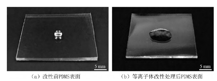 PDMS基片氧9I在线看片成人免费處理前後水滴角對比