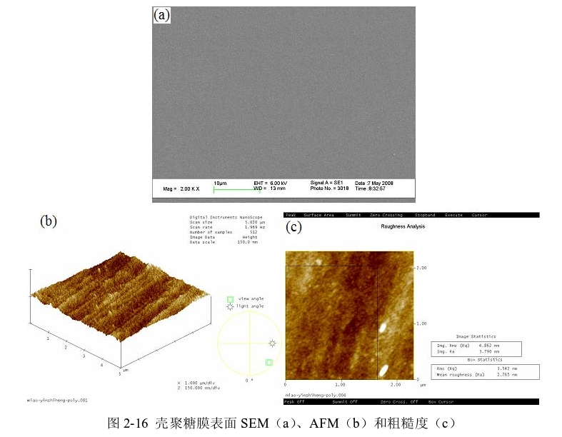 圖3-1 殼聚糖膜表麵SEM(a)、AFM(b)和粗糙度(c) 