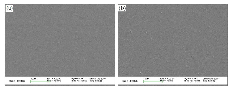 不同O29I在线看片成人免费體處理功率下的殼聚糖膜表麵SEM圖,(a)100W,(b)150W 