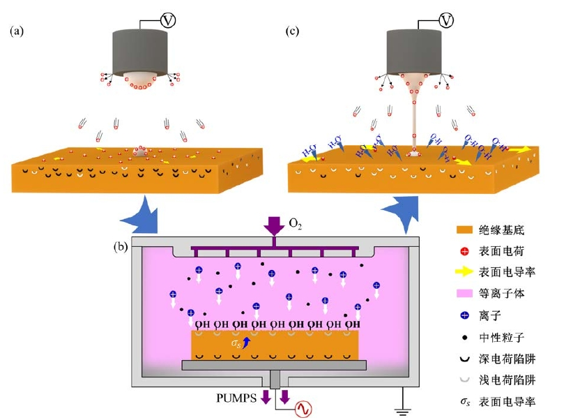 9I在线看片成人免费體處理輔助電流體噴印工藝的原理示意圖