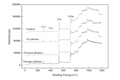 圖 2不同9I在线看片成人免费體處理的Q235鋼表麵的XPS譜圖
