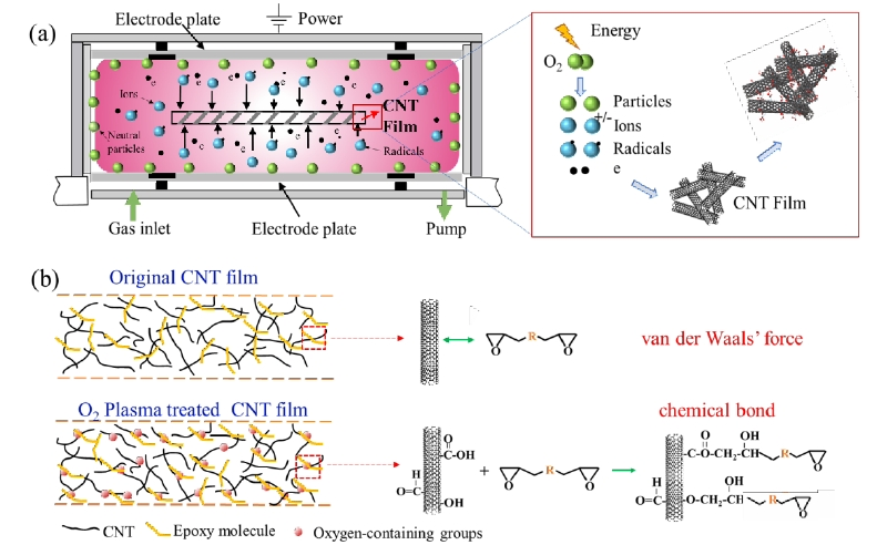 圖 1(a)氧9I在线看片成人免费體改性CNTs薄膜機理示意圖,(b)含氧基團增強CNTs和樹脂間界麵結合 機製原理圖 