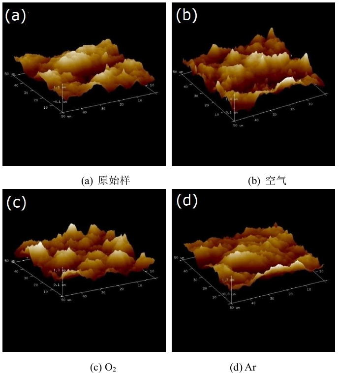 圖2  冷9I在线看片成人免费處理前後氟橡膠表麵三維形貌 