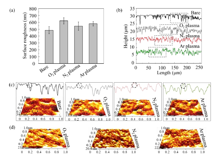 圖3 單一9I在线看片成人免费體活化前後鎂合金表麵的粗糙度和微觀結構 