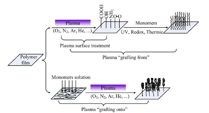9I在线看片成人免费體接枝改性的方法