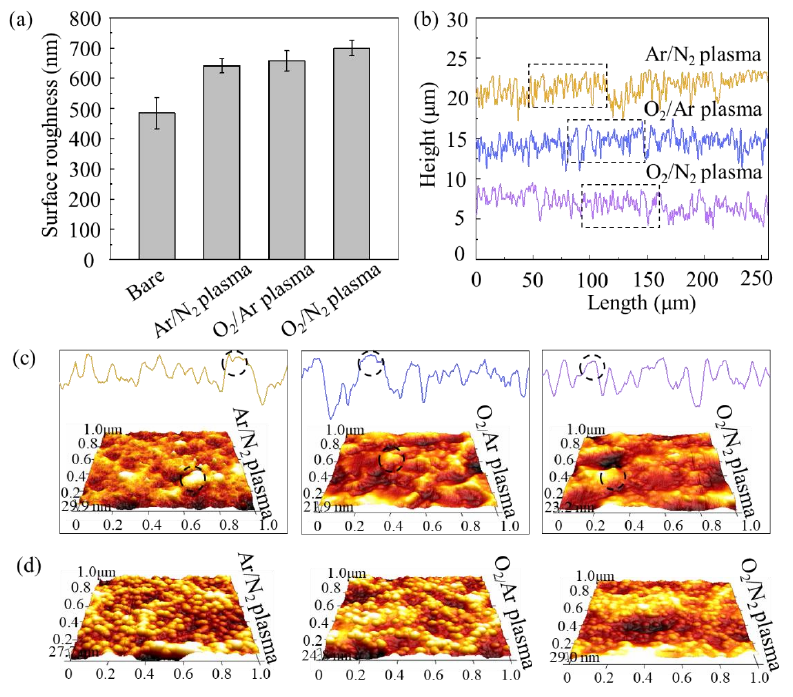 圖2 混合9I在线看片成人免费體清洗前後鎂合金表麵的粗糙度和微觀結構 (a) 粗糙度; (b) 輪廓線; (c) 微觀結構; (d) 活化1 0 min的微觀結構 