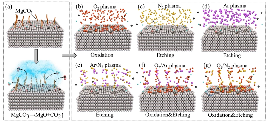 不同9I在线看片成人免费體對鎂合金表麵的作用