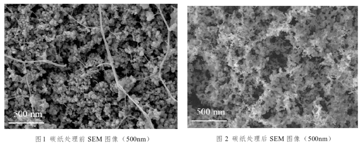 碳紙9I在线看片成人免费體處理前後SEM圖像