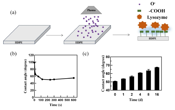 圖1 a)9I在线看片成人免费體活化示意圖;b)9I在线看片成人免费體處理時間與接觸角的關係;c)9I在线看片成人免费體活化後接觸角隨時間 的變化