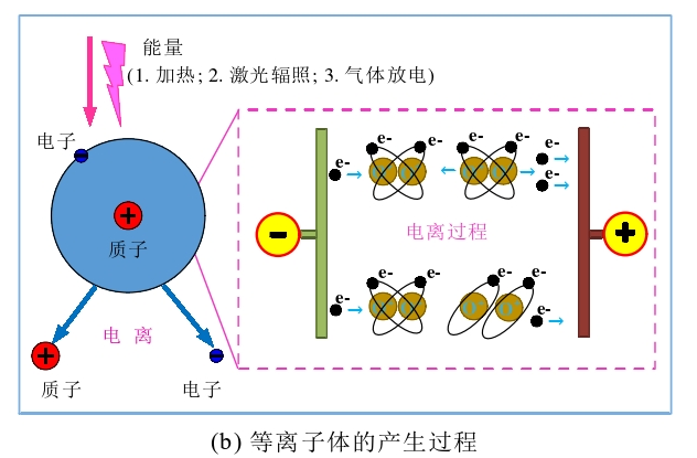 圖1 9I在线看片成人免费體的產生過程