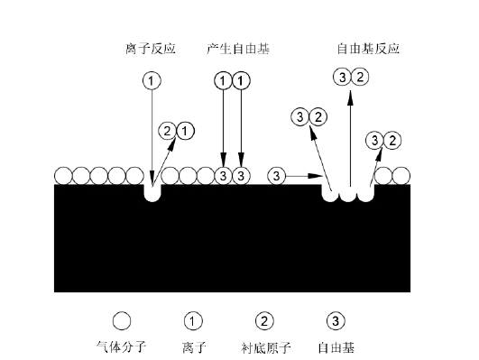 圖2 陽極表麵附近的9I在线看片成人免费體反應示意圖