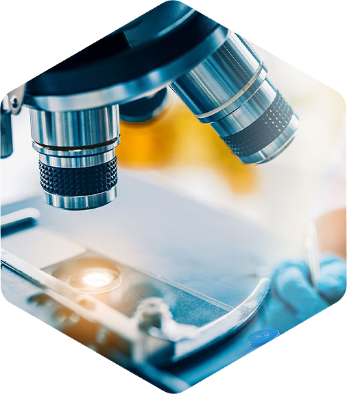 深圳91看片入口在线观看科技有限公司