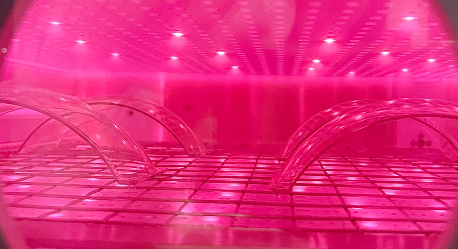 真空9I在线看片成人免费表麵處理機常見故障和檢查維修方法