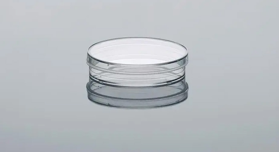 培養皿9I在线看片成人免费表麵處理