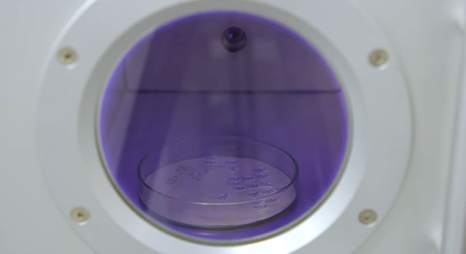 微波9I在线看片成人免费清洗在半導體芯片封裝中的應用