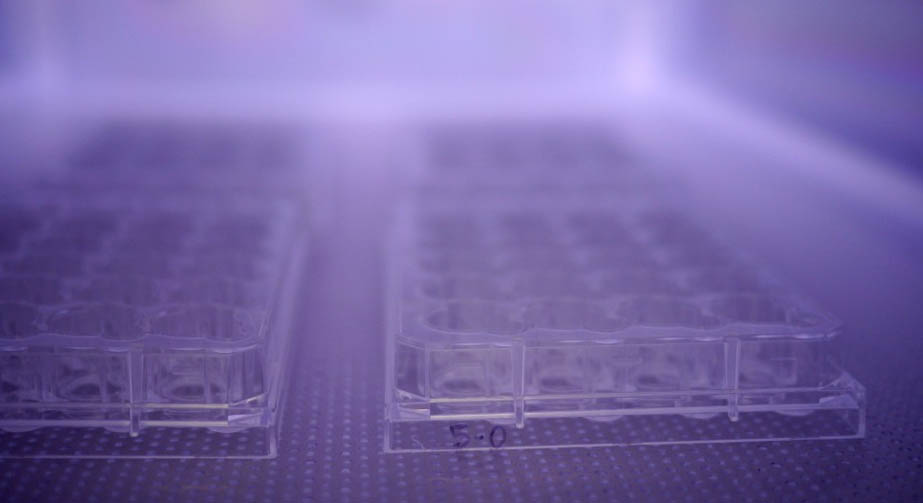 9I在线看片成人免费清洗機功率大小對清洗效果的影響