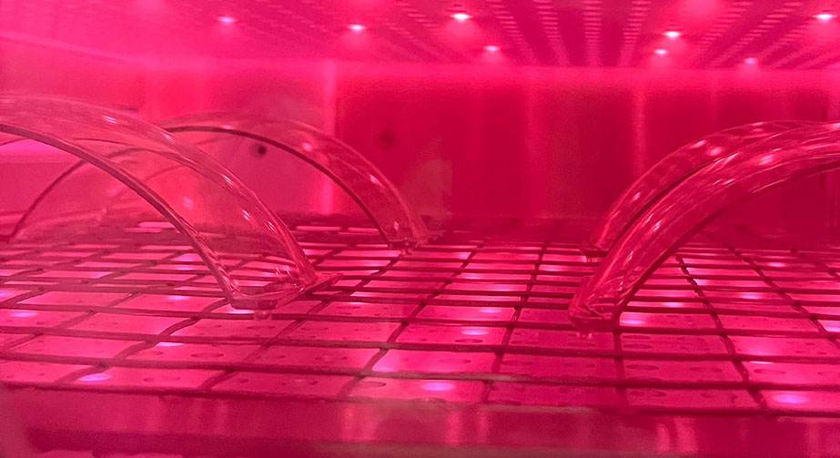 9I在线看片成人免费體表麵清洗技術