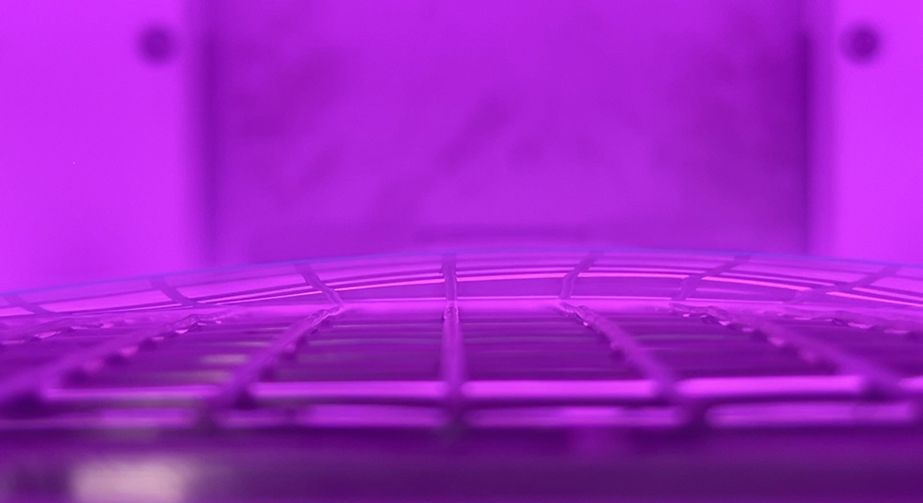 如何選擇真空9I在线看片成人免费清洗機的氣體流量控製器？