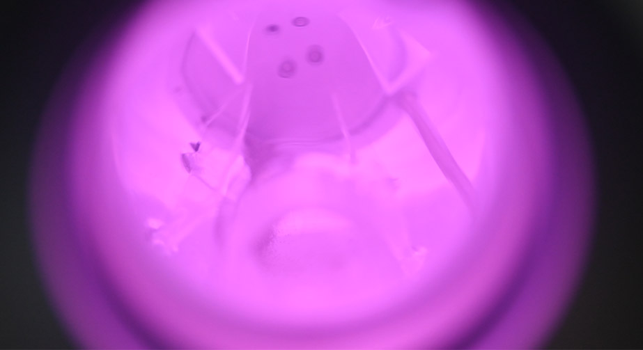 納米顆粒9I在线看片成人免费氟化改性