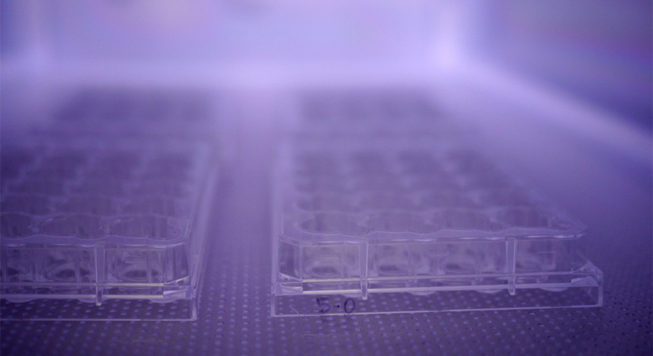 NH3氨氣9I在线看片成人免费體處理提高PS聚苯乙烯表麵親水性