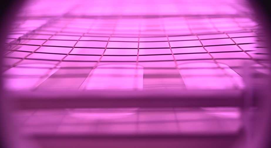 PEEK9I在线看片成人免费清洗機改性處理提高親水粘接性